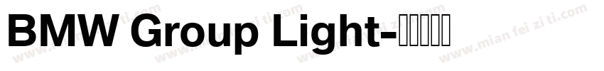 BMW Group Light字体转换
